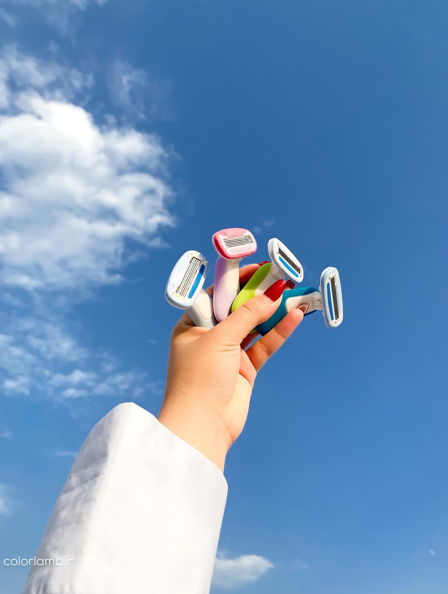 Colorlamb самобръсначки в различни цветове